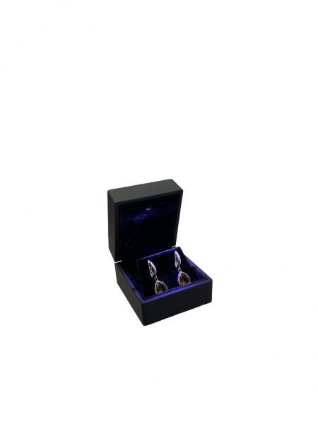 Ledli Işıklı Küpe Kutusu TP-0831